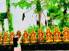 -瑞丽独树成林风景区