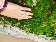 -白沙门生态公园