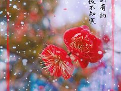 -瀛洲公园