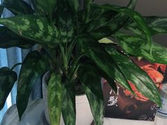 -宴昆山·私房菜(春晖店)