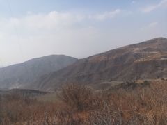 -北京鹫峰国家森林公园