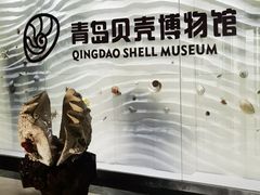 -青岛贝壳博物馆
