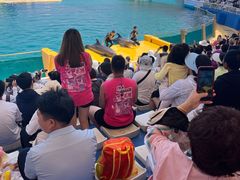 -秦皇岛乐岛海洋王国