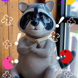 📢：干脆面君🦝『赤谷』我们又双叒来看（吃）你咯❗️❗️