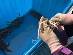 -秋月舫(阳澄湖湖滨中路店)