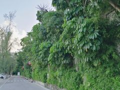 -横琴公社餐厅