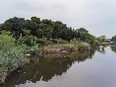 -映月湖公园
