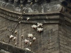 -晋祠博物馆