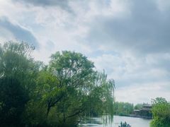 -溱湖国家湿地公园