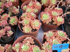 -甘肃国际会展中心