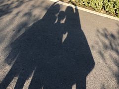 -昆山城市生态森林公园