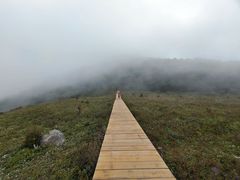 -白草畔自然风景区