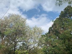 -梧桐山风景名胜区