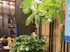 -满来寿喜烧(金虹桥店)