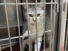 -瑞鹏宠物医院·骨科·猫科·内科(第一中心)