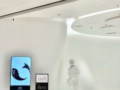-龙湖成都上城天街
