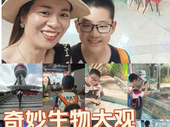 -上海大自然野生昆虫馆(东方明珠·爬宠昆虫探索中心)