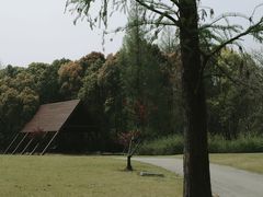 -上海滨江森林公园