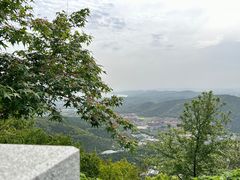 -惠山国家森林公园