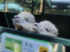 -青岛鑫江温德姆酒店
