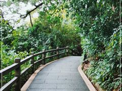 -广州市白云山风景名胜区