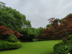 -东平国家森林公园