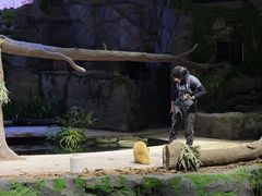 -夜间野生动物园