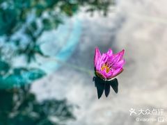 -上海辰山植物园