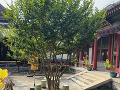 -宫事颐庭·老佛爷贵寿下午茶(颐和园店)