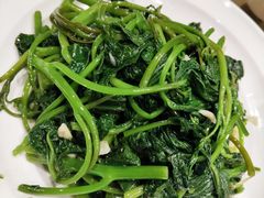 蒜茸红薯尖-湘阁里辣(南岭购物广场店)