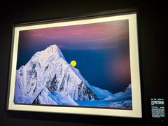 -罗红摄影艺术馆