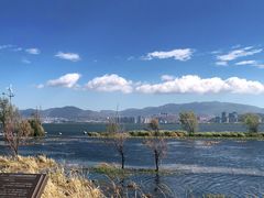 -洱海月湿地公园