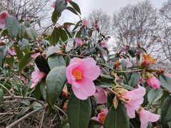 -杭州西湖风景名胜区-钱祠表忠