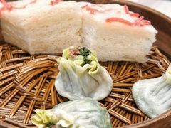 -富春茶社(国庆路店)