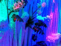 -水晶之星洗浴温泉汗蒸