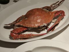 -高佳庄·海鲜酒楼(东港店)