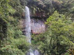 -龙苍沟森林公园