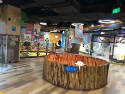 -七巧国萌宠乐园(龙湖天街店)