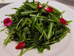 -鱼翅楼·津派砂锅鱼翅(水上公园店)