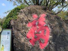 -天鹿湖森林公园