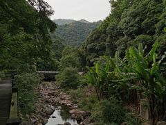 -宁海森林温泉