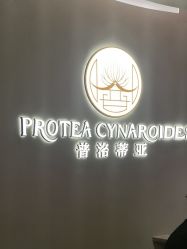 -普洛蒂亚·科技美肤中心