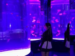 -海合安武汉极地海洋公园