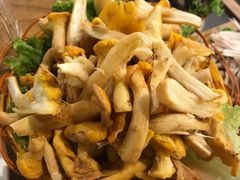 鸡枞菌-菌海森林野生菌火锅(摩根道店)