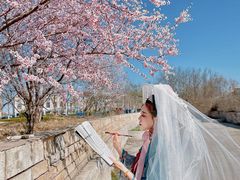 -天津东丽湖风景区