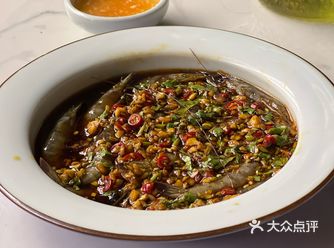 是一家非常宠物友好的店