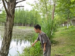 -白鹭湾湿地公园