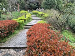 -九龙潭景区