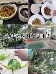 -宝生月子中心·私家园林式(龙华观澜店)
