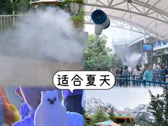 -上海海昌海洋公园